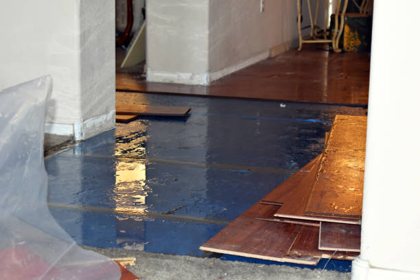 Professional Water Damage Restoration technician working in Maybee, MI