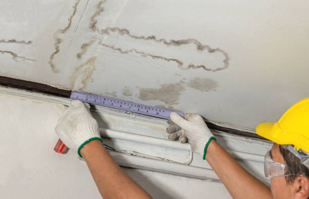 Reliable Water Damage Restoration contractor in Maybee, MI by Local Water Damage Repair